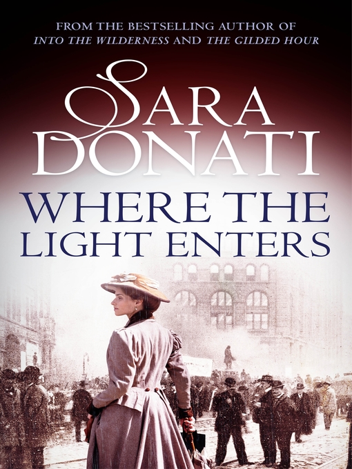 Cover image for Where the Light Enters